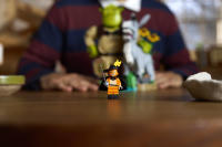 LEGO set 72423-1 Shrek, Donkey & Puss in Boots - Image 4