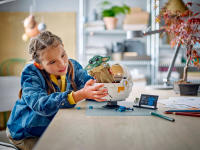 LEGO set 75403-1 Grogu with Hover Pram - Image 8