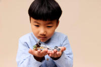 LEGO set 75436-1 The Mandalorian & Grogu's Speeder Bike - Image 9