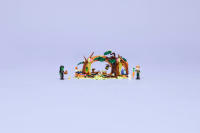 LEGO set 75687-1 Elphaba's Retreat - Image 10