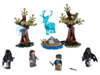 LEGO set 75945-1 Expecto Patronum - Image 1
