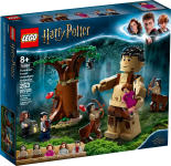 LEGO set 75967-1 Forbidden Forest: Umbridge's Encounter - Image 2