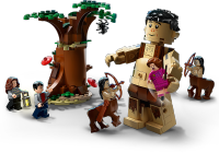 LEGO set 75967-1 Forbidden Forest: Umbridge's Encounter - Image 4