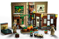 LEGO set 76384-1 Hogwarts Moment: Herbology Class - Image 9