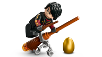 LEGO set 76406-1 Hungarian Horntail Dragon - Image 5