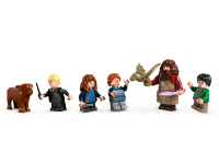LEGO set 76428-1 Hagrid's Hut: An Unexpected Visit - Image 10
