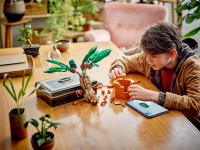 LEGO set 76433-1 Mandrake - Image 9