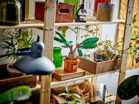 LEGO set 76433-1 Mandrake - Image 10