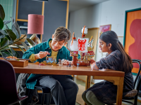 LEGO set 76440-1 Triwizard Tournament: The Arrival - Image 6