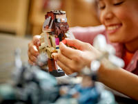 LEGO set 76443-1 Hagrid & Harry's Motorcycle Ride - Image 7