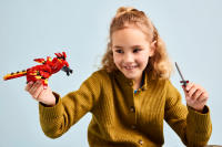 LEGO set 76448-1 Fawkes: Dumbledore's Phoenix - Image 7