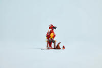 LEGO set 76448-1 Fawkes: Dumbledore's Phoenix - Image 8