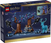 LEGO set 76475-1 Forbidden Forest: Expecto Patronum - Image 3