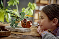 LEGO set 76477-1 Norbert: Hagrid's Baby Dragon - Image 8