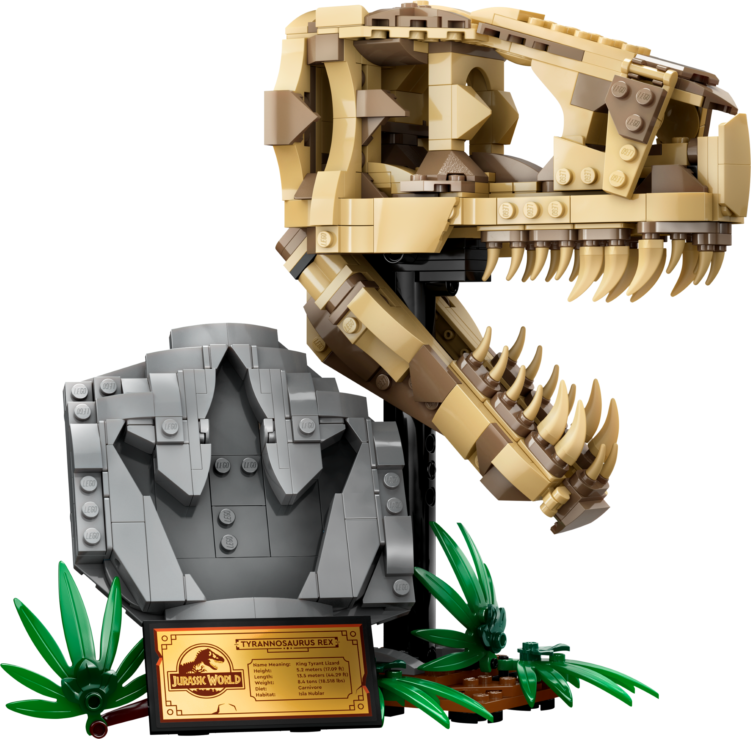LEGO set 76964-1 Dinosaur Fossils: T. rex Skull - Image 1