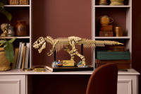 LEGO set 76968-1 Dinosaur Fossils: Tyrannosaurus Rex - Image 3