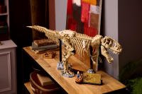 LEGO set 76968-1 Dinosaur Fossils: Tyrannosaurus Rex - Image 4