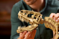 LEGO set 76968-1 Dinosaur Fossils: Tyrannosaurus Rex - Image 11