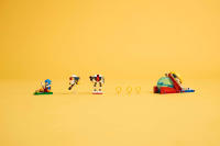 LEGO set 77001-1 Sonic’s Campfire Clash - Image 9