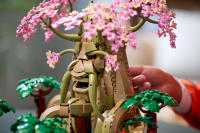 LEGO set 77092-1 Great Deku Tree 2-in-1 - Image 13