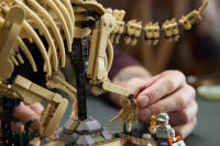 LEGO set 77985-1 Dinosaur Fossils: Triceratops - Image 3