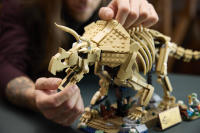 LEGO set 77985-1 Dinosaur Fossils: Triceratops - Image 4