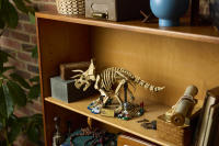 LEGO set 77985-1 Dinosaur Fossils: Triceratops - Image 8