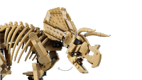 LEGO set 77985-1 Dinosaur Fossils: Triceratops - Image 12