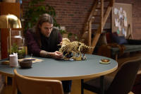 LEGO set 77985-1 Dinosaur Fossils: Triceratops - Image 14